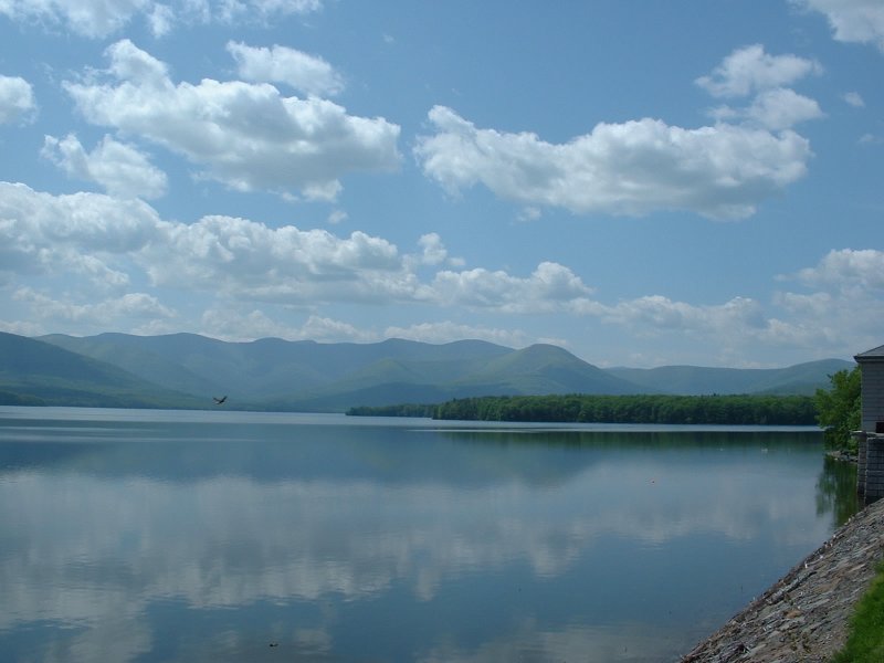 Ashokan Reservoir with Hawk